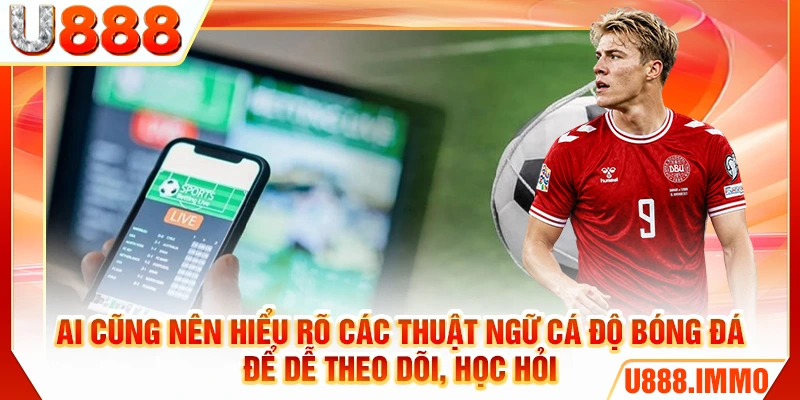 Ai cũng nên hiểu rõ các thuật ngữ cá độ bóng đá để dễ theo dõi, học hỏi