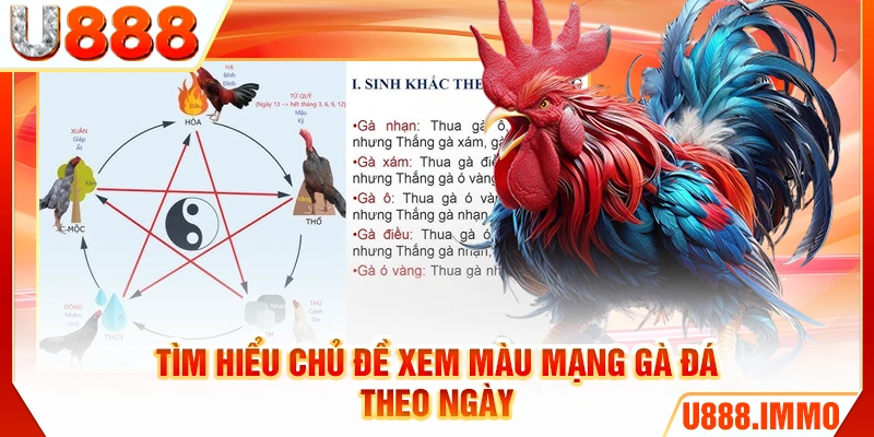 Tìm hiểu chủ đề xem màu mạng gà đá theo ngày