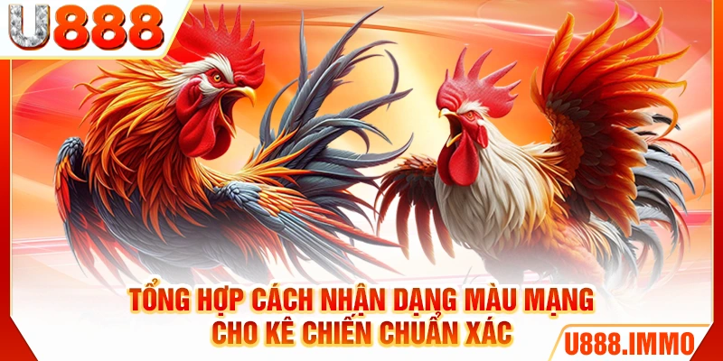 Tổng hợp cách nhận dạng màu mạng cho kê chiến chuẩn xác